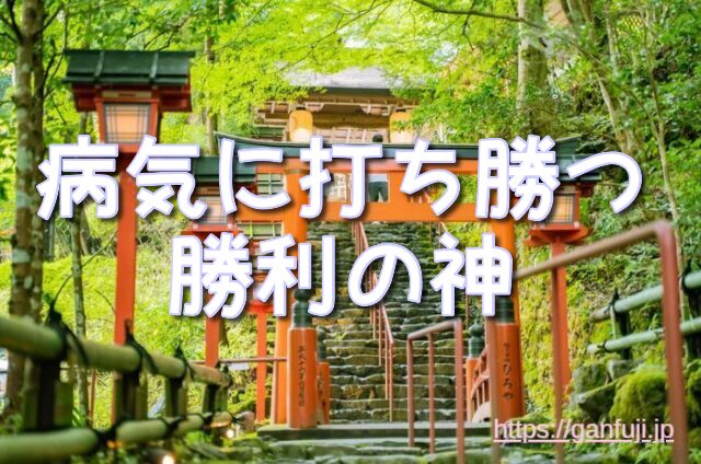 茨城　がん封じ　神社