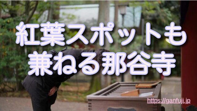 石川　がん封じ　神社