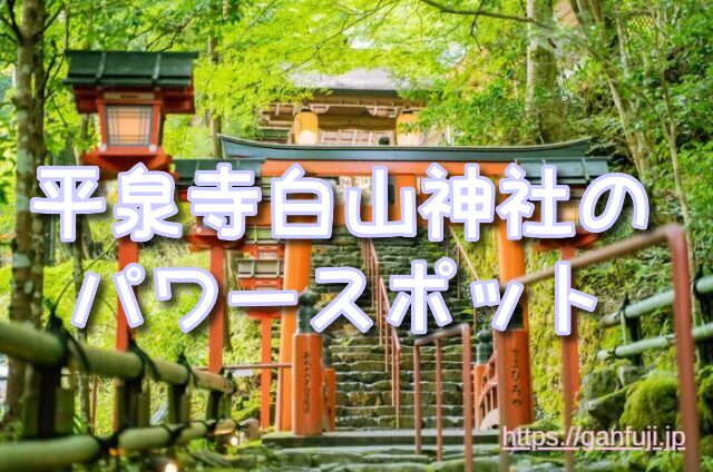 福井県 体験 不思議
