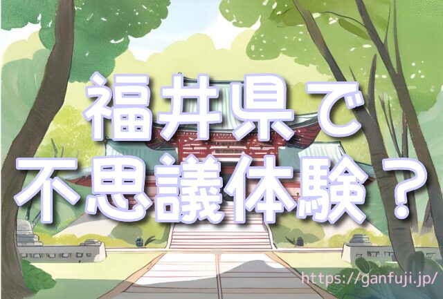 福井県　体験　不思議