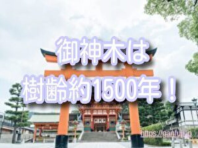 鹿児島県 最強 癌封じ