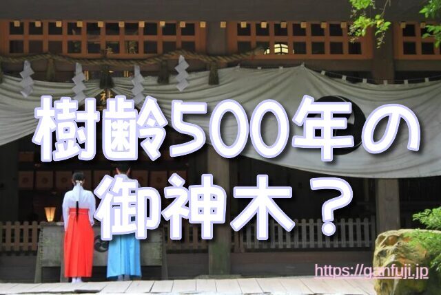 徳島県 スピリチュアル