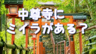 岩手県【中尊寺】ミイラは 一般公開される?4体の科学的分析結果も!