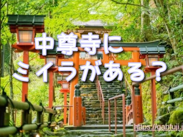 中尊寺 ミイラ