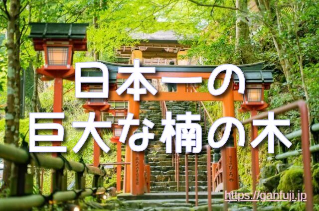 鹿児島県　神社